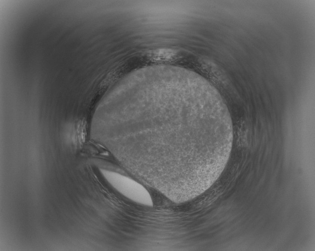 X0000074000561200609181811