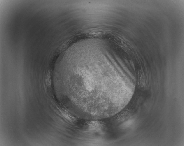 X0000074000562200609181811