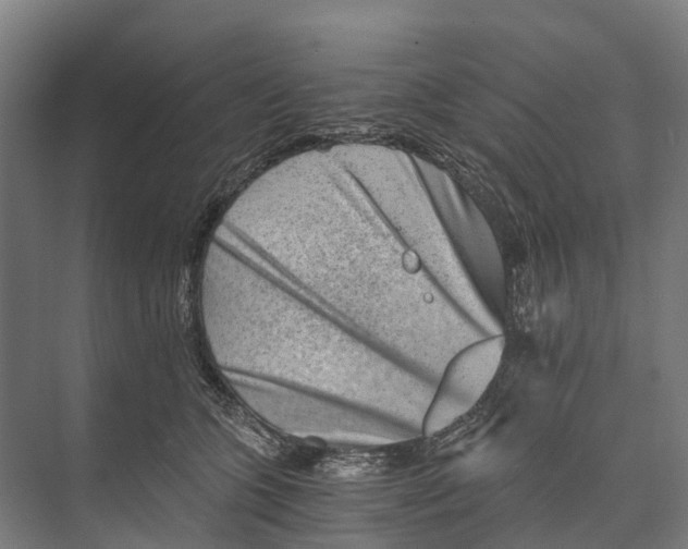 X0000074000563200609181811