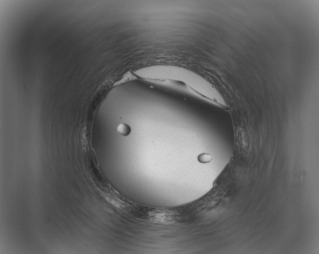 X0000074000564200609181811