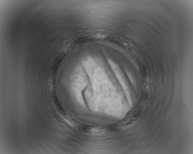 X0000074000568200609181811