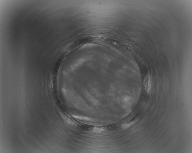 X0000074000570200609181811