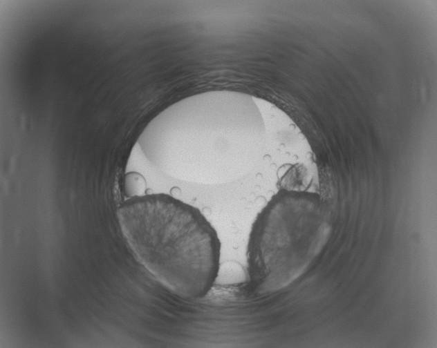 X0000074000573200609181811