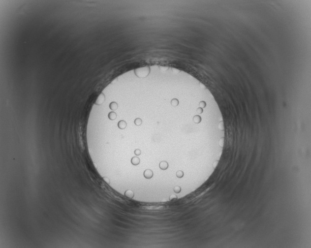 X0000074000575200609181811