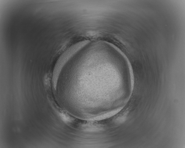 X0000074000576200609181811