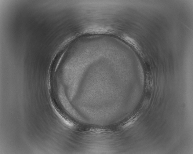 X0000074000582200609181810