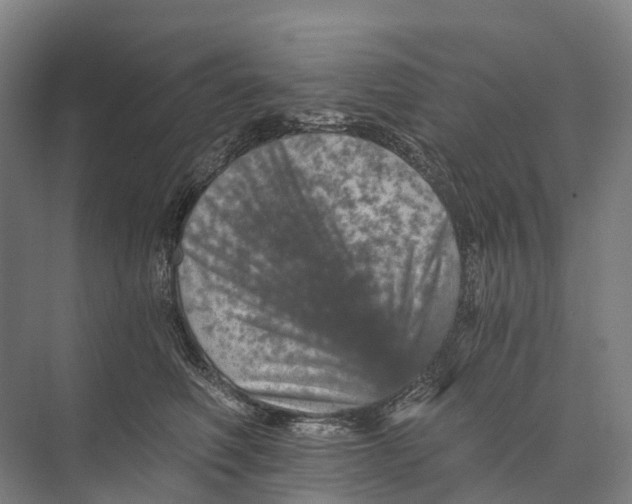 X0000074000614200609181810