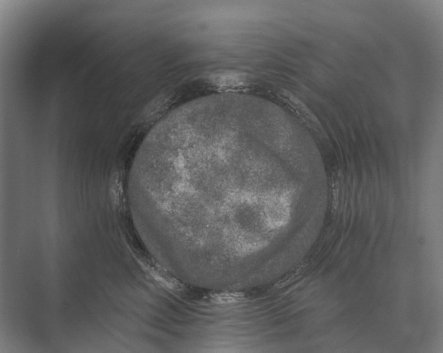 X0000074000618200609181810