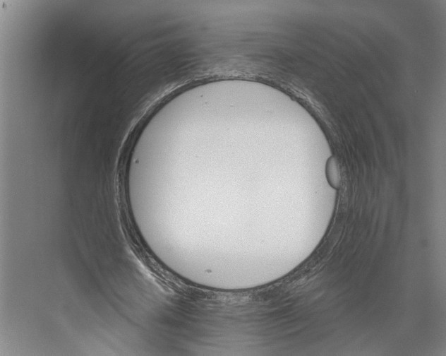 X0000074000626200609181809