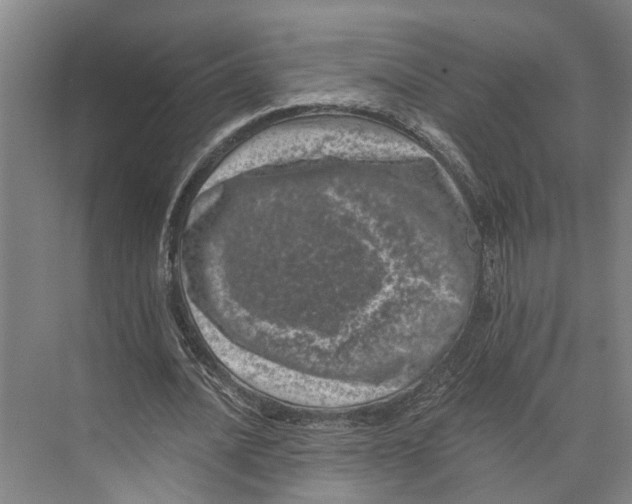 X0000074000628200609181809