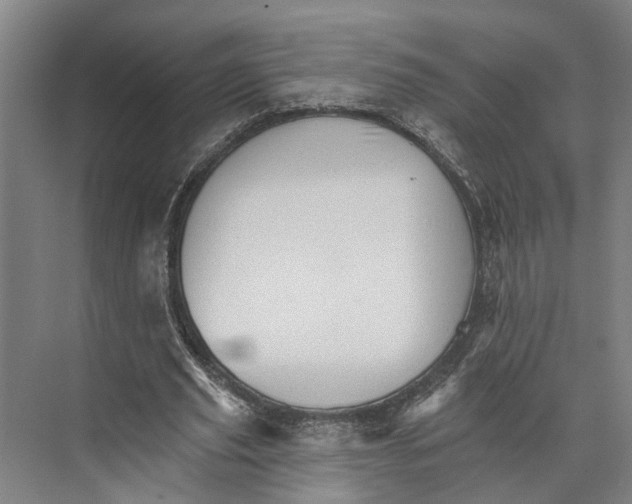 X0000074000629200609181809