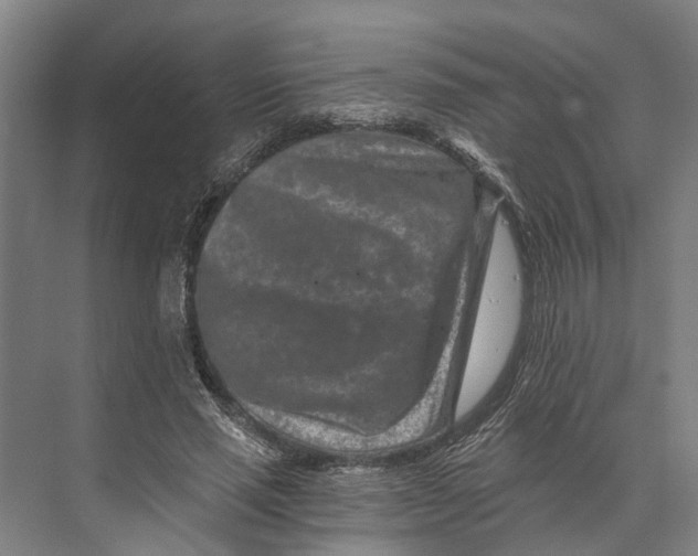 X0000074000637200609181809