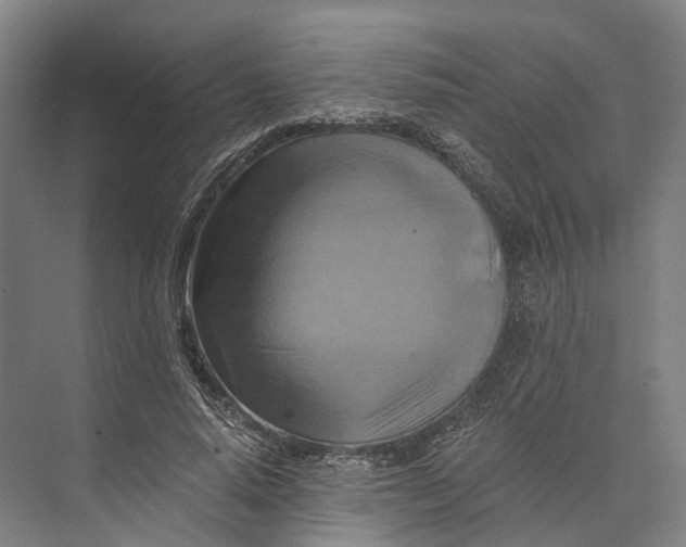 X0000074000640200609181809