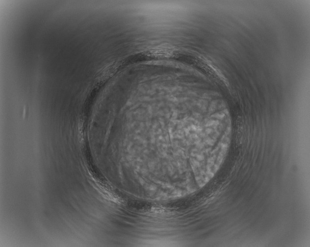 X0000074000641200609181809