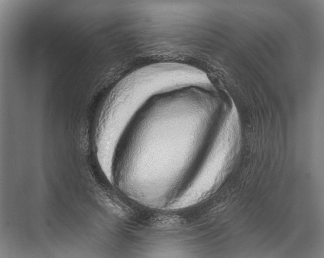 X0000074000642200609181809