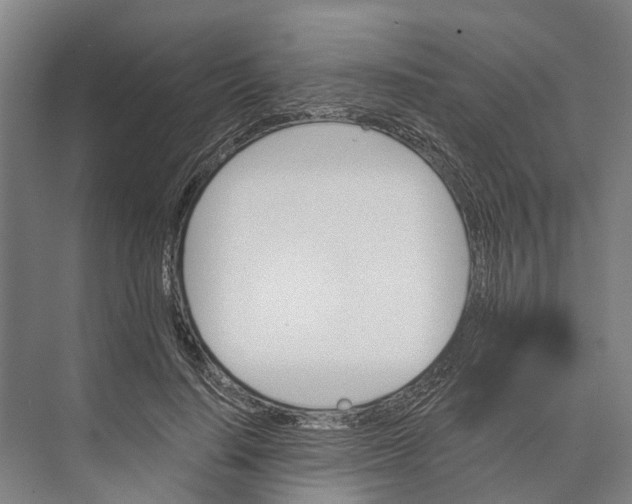 X0000074000644200609181809