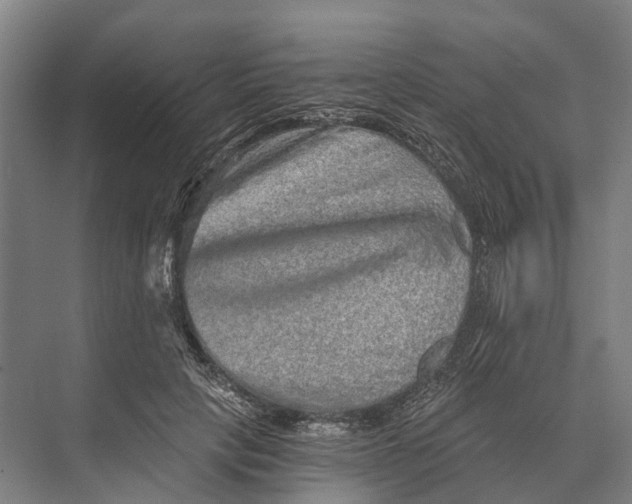 X0000074000649200609181809