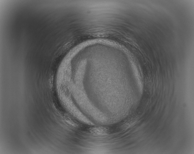 X0000074000652200609181809