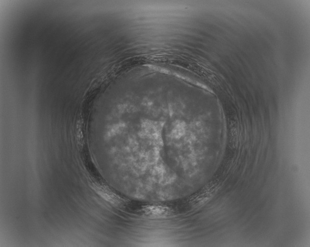 X0000074000654200609181809