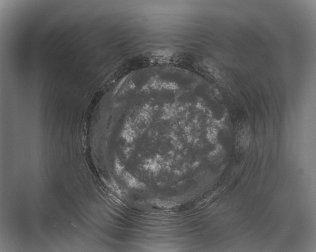 X0000074000661200609181809