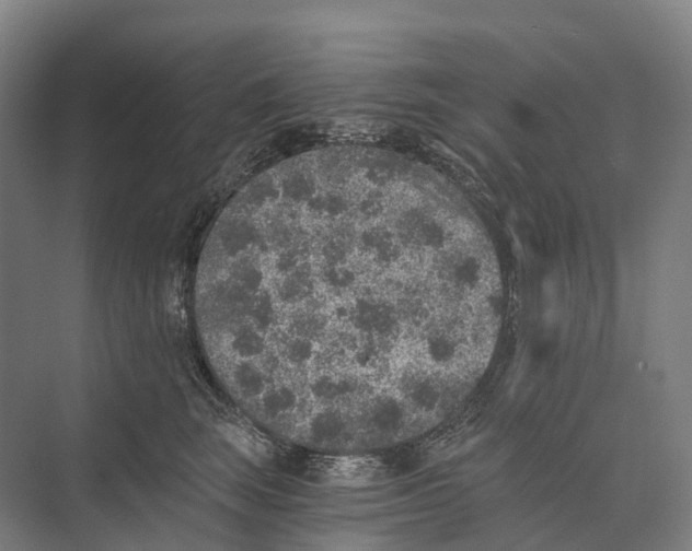 X0000074000663200609181809