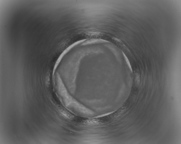 X0000074000668200609181810