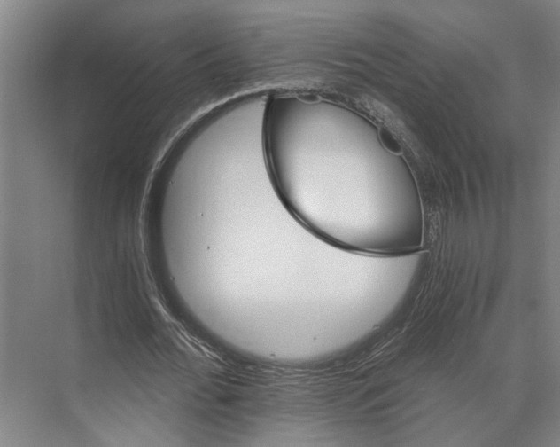 X0000074000676200609181809