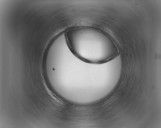 X0000074000677200609181809