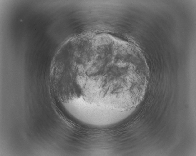 X0000074000679200609181809