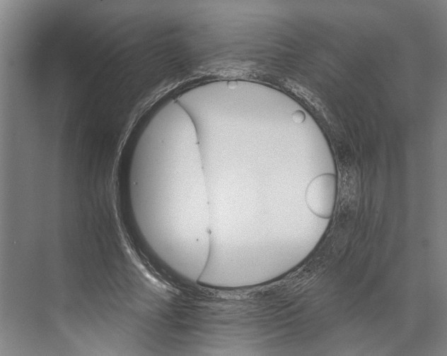 X0000074000682200609181809