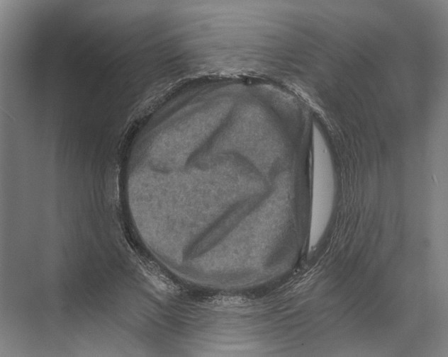 X0000074000685200609181809