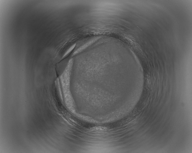 X0000074000691200609181809