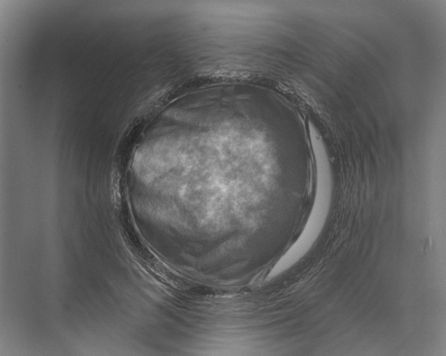 X0000074000692200609181809