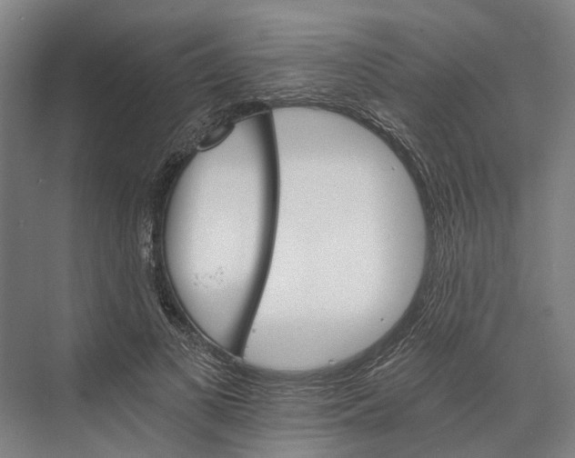 X0000074000693200609181809