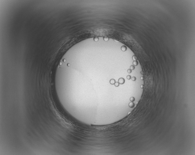 X0000074000694200609181808