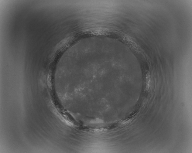 X0000074000696200609181808