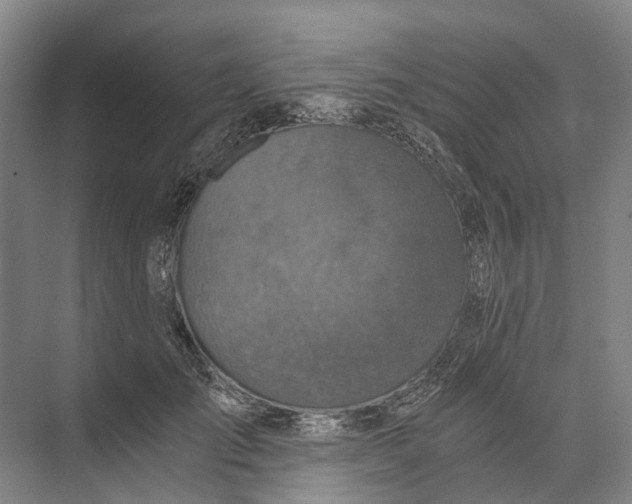 X0000074000701200609181808