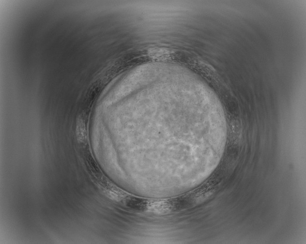 X0000074000705200609181808