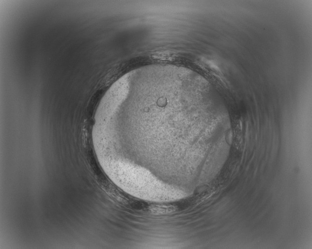 X0000074000707200609181808