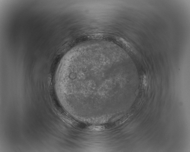 X0000074000711200609181808