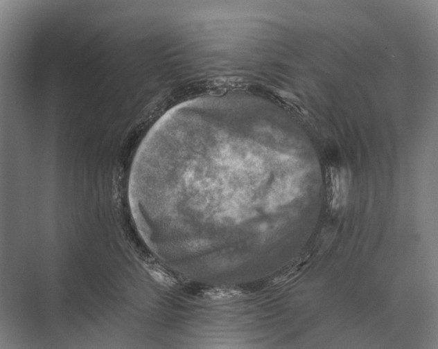 X0000074000712200609181808