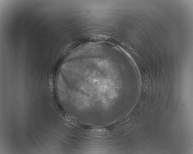 X0000074000716200609181808