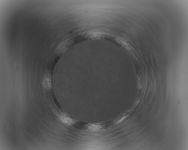 X0000074000718200609181808