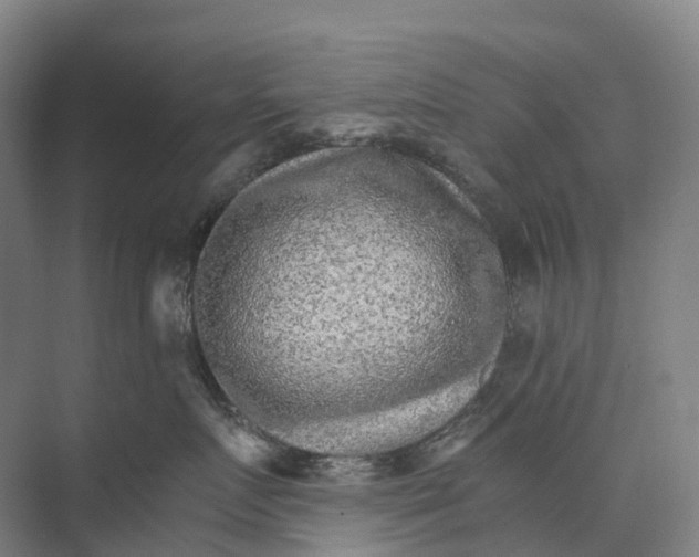 X0000074000719200609181808