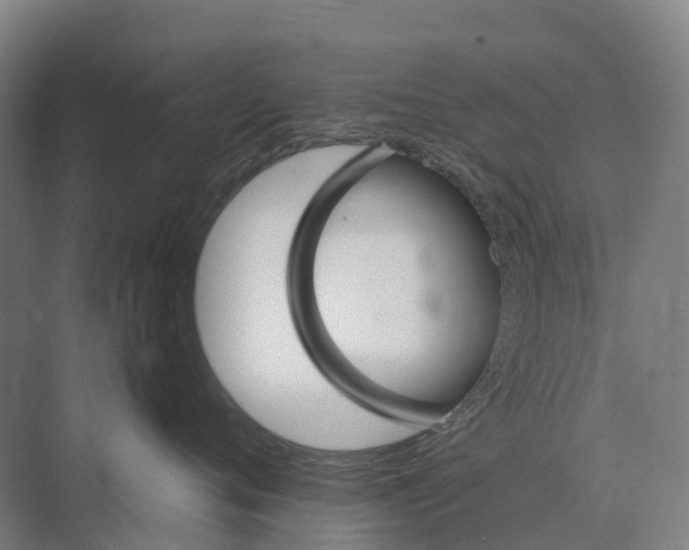 X0000074000720200609181808