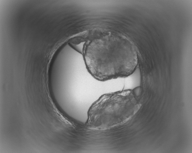 X0000074000721200609181807