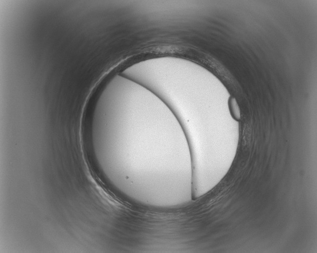 X0000074000722200609181807