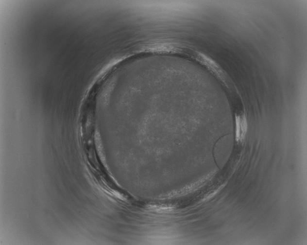 X0000074000723200609181807