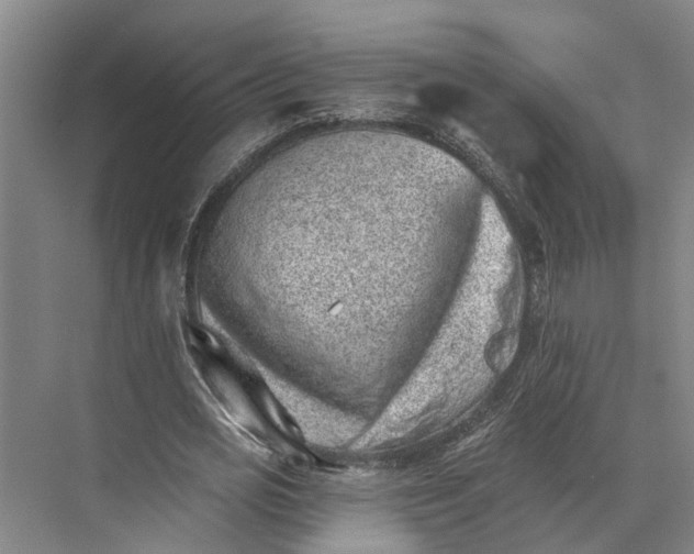 X0000074000725200609181807