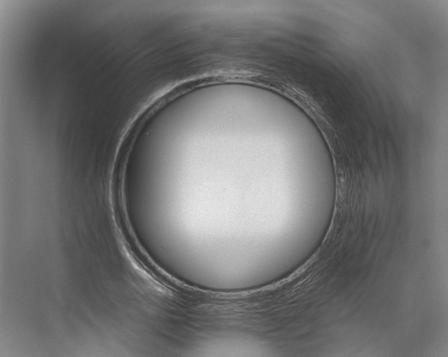 X0000074000726200609181807